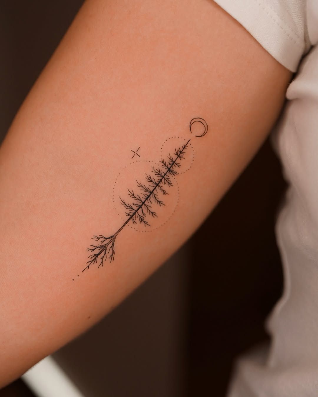 Celestial pine tree fine line minimalist tattoo