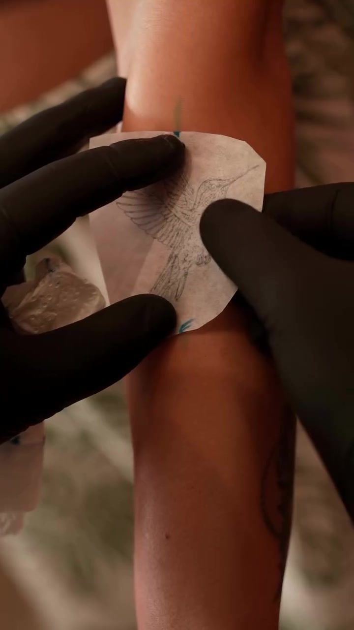Hummingbird forearm fine line micro realism tattoo